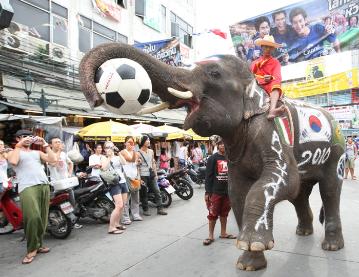فيل يظهر مهاراته في لعبة كرة القدم خلال حفل للترويج لكأس العالم  2010 في بانكوك