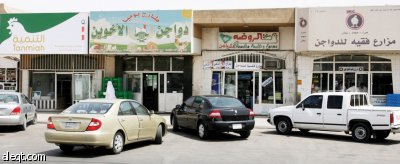 الرياض: الدجاج المجمد يرتفع 10 % في أسواق الربوة وعتيقة