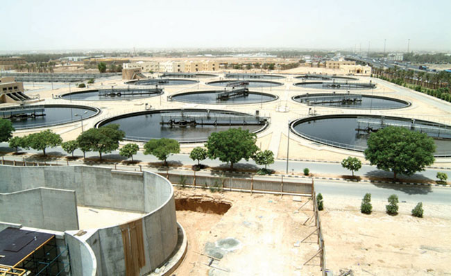 شركة وتيكو تحتل المرتبة 14 عالميا كإحدى الشركات الكبرى المتخصصة في التحلية