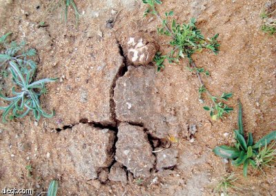 «الوسم» .. موسم أمطار الجزيرة العربية على الأبواب