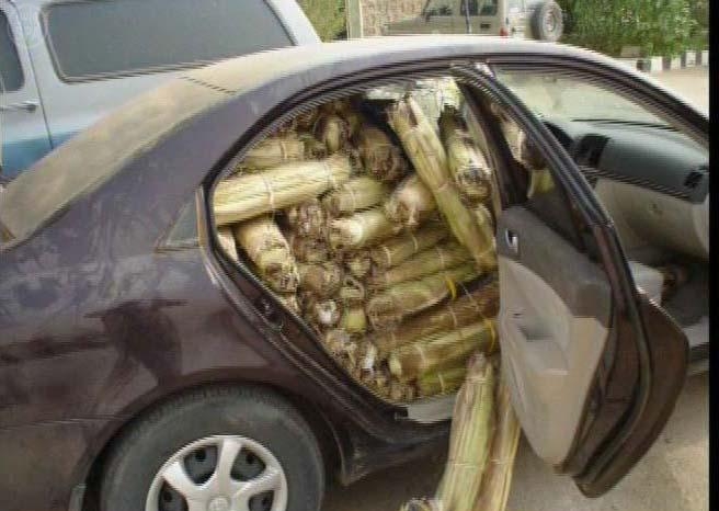 الداخلية: إحباط تهريب مخدرات بـ 1.4 مليار ريال والقبض على 478 شخصا