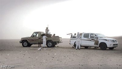 8 أشخاص يبيدون 320 ضبا في صحراء السعودية خلال 3 أيام