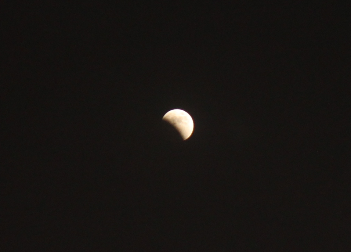 انجلاء الخسوف .. والمساجد السعودية تضج بالتضرع لله عز وجل