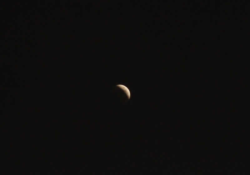 انجلاء الخسوف .. والمساجد السعودية تضج بالتضرع لله عز وجل