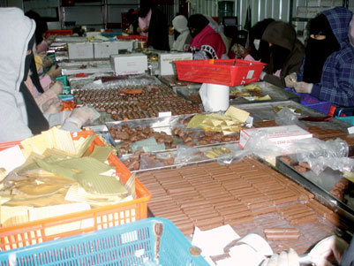 غياب المحفزات وعدم وجود أقسام خاصة يعطلان الاستثمارات الصناعية للسيدات