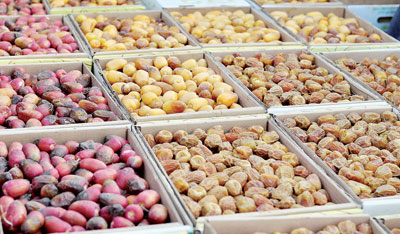 السكري «النقوة» يصل إلى 100 ريال للكيلو