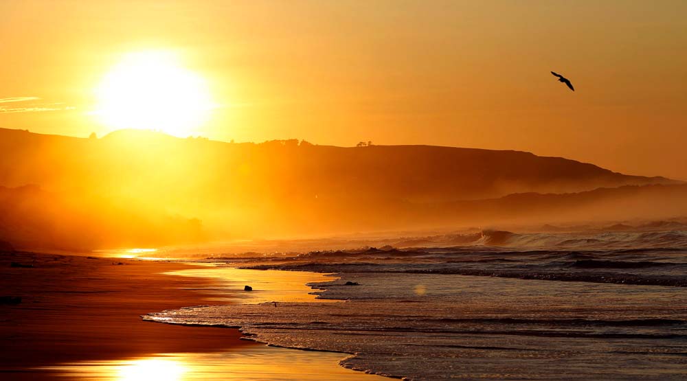 شروق الشمس على شاطئ سانت كلير في نيوزيلندا صحيفة الاقتصادية
