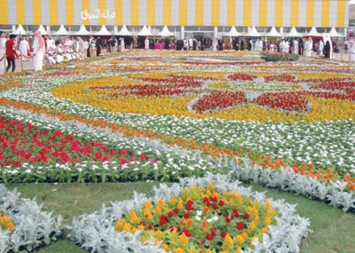 إنعاش مهرجان ورد الطائف بمنافسة 11 شركة ونقله إلى قلب المحافظة