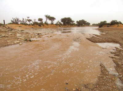 تواصل هطول الأمطار على معظم مناطق السعودية اليوم وغداً