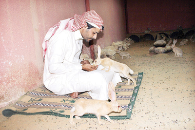 رفحاء: تحويل منزل إلى محمية حيوانات لحمايتها من الانقراض