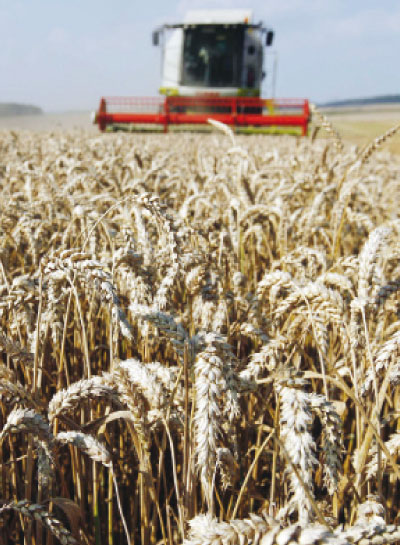 أسواق الغذاء تترقب البيانات الزراعية الأمريكية.. والتحذير من أزمة عالمية