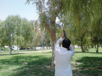 طلقات «الساكتون» تزعج سكان الحدود الشمالية.. والأمن يتوعد الصيادين بالعقوبة