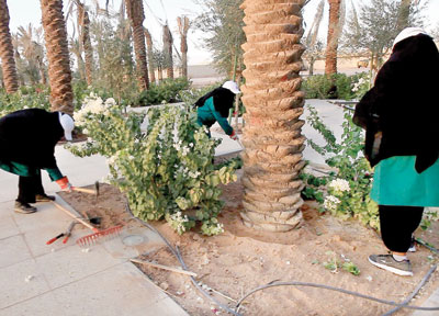 توظيف 1200 سعودية في تشغيل جامعات البنات وصيانتها