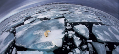 ورطة الجليد