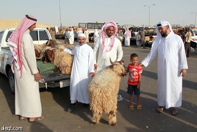 قصة مصورة : الأضحية .. شعيرة تواجه غلاء الأسعار