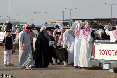 قصة مصورة : الأضحية .. شعيرة تواجه غلاء الأسعار