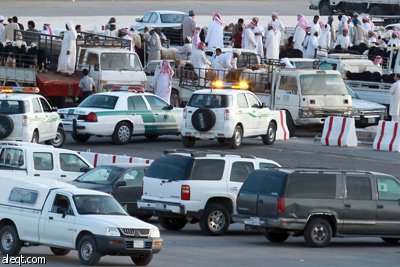 قصة مصورة : الأضحية .. شعيرة تواجه غلاء الأسعار