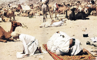 النقل في الحج