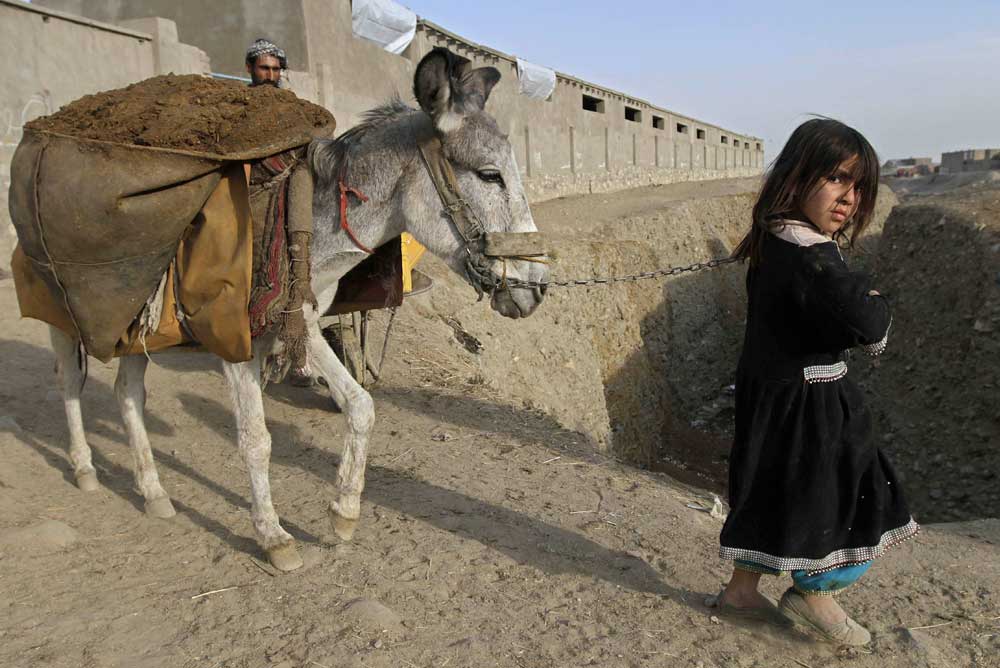 طفلة أفغانية تكسب رزقها بسحب الحمار للعمل في كابول