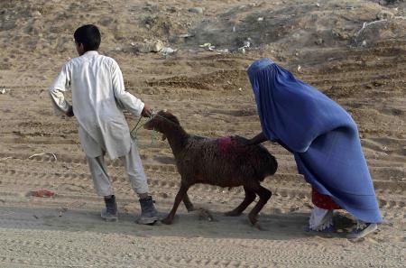 قصة مصورة : الفقر المدقع ينتشر في أفغانستان