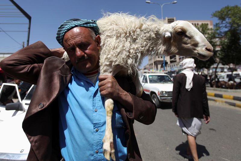 قصة مصورة : الاضحية .. شعيرة يبحث عنها كل مسلم