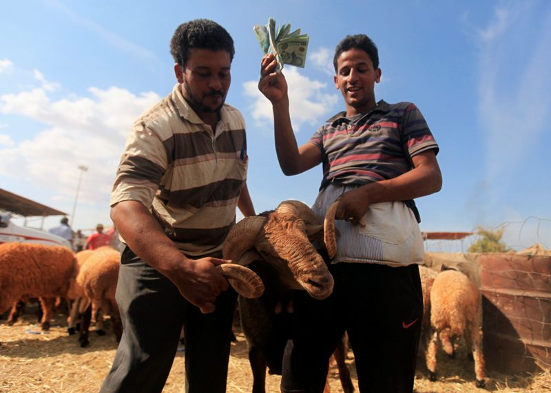 قصة مصورة : الاضحية .. شعيرة يبحث عنها كل مسلم