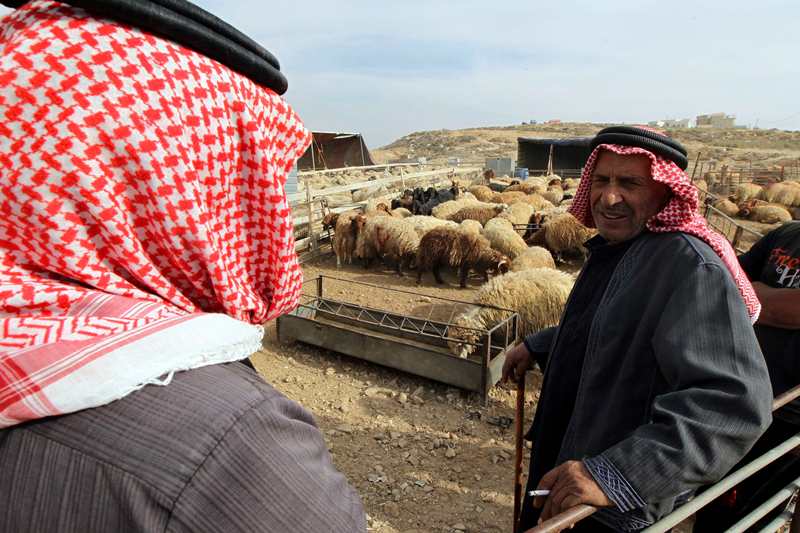 قصة مصورة : الاضحية .. شعيرة يبحث عنها كل مسلم