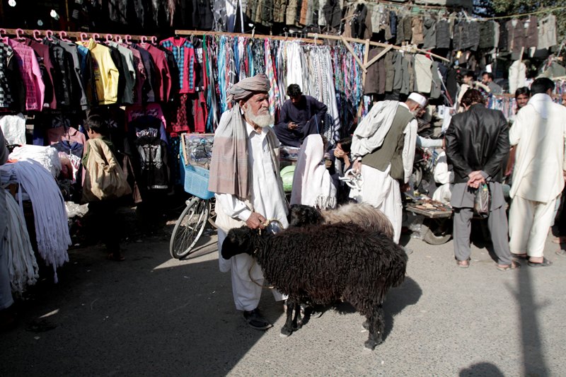 قصة مصورة : الاضحية .. شعيرة يبحث عنها كل مسلم