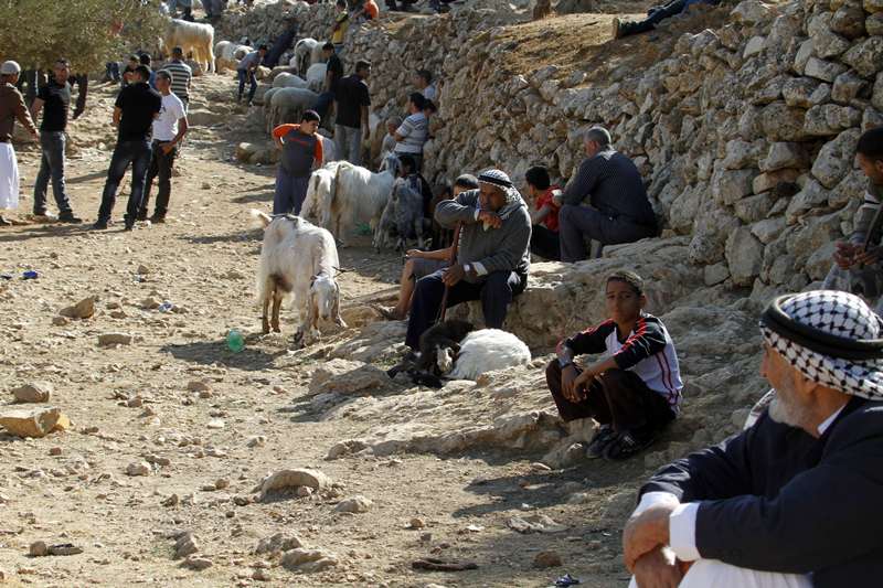 قصة مصورة : الاضحية .. شعيرة يبحث عنها كل مسلم