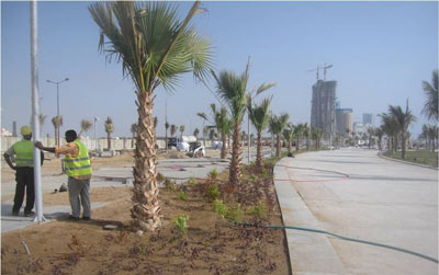 قصة مصورة : أمانة جدة تعلن اكتمال تطوير الكورنيش الشمالي والافتتاح بعد شهر