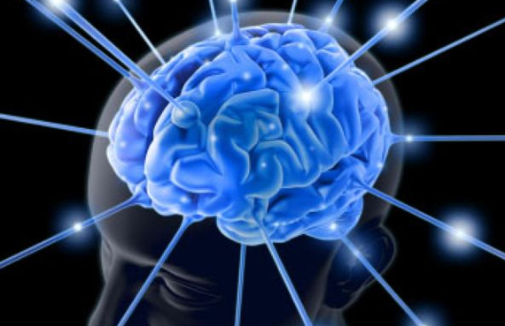 علماء : مخ الإنسان يتشكل في طفولته المبكرة