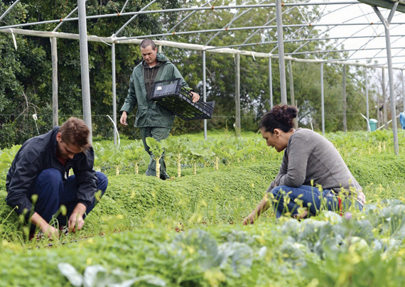أعضاء مؤسسة خيرية تابعون للأمم المتحدة يساعدون الأسر البرتغالية المتضررة من الفقر والبطالة على الزراعة
