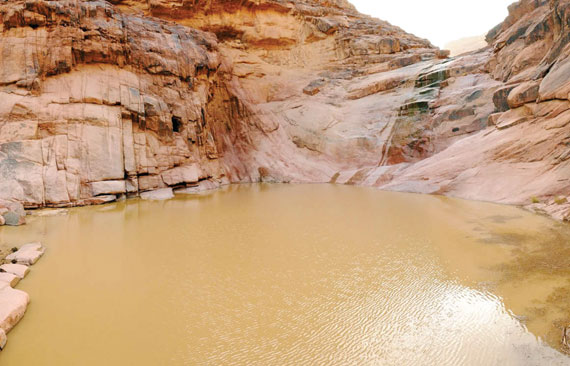 تحذير .. الصرف الصحي يختلط بالمياه الجوفية في القويعية