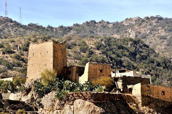 قصة مصورة : تنومة .. مدينة تعيش تحت الغابات وتشرب من شلال طبيعي