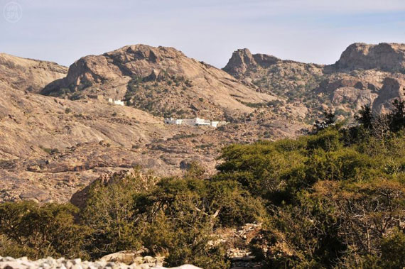 قصة مصورة : تنومة .. مدينة تعيش تحت الغابات وتشرب من شلال طبيعي