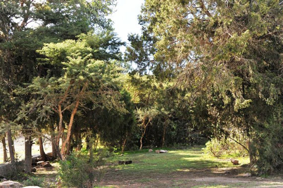 قصة مصورة : تنومة .. مدينة تعيش تحت الغابات وتشرب من شلال طبيعي