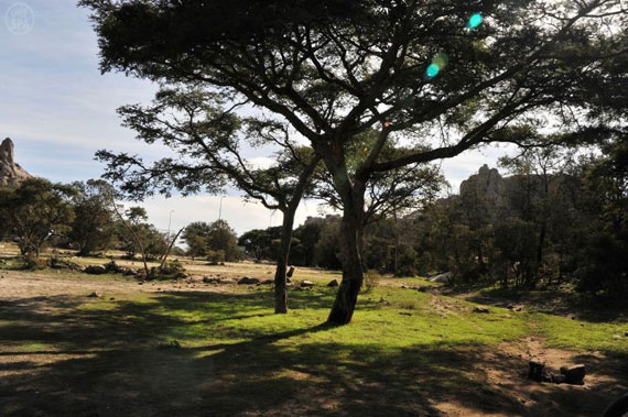 قصة مصورة : تنومة .. مدينة تعيش تحت الغابات وتشرب من شلال طبيعي
