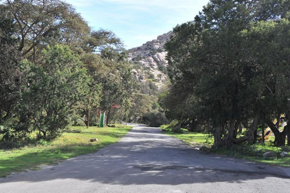 قصة مصورة : تنومة .. مدينة تعيش تحت الغابات وتشرب من شلال طبيعي