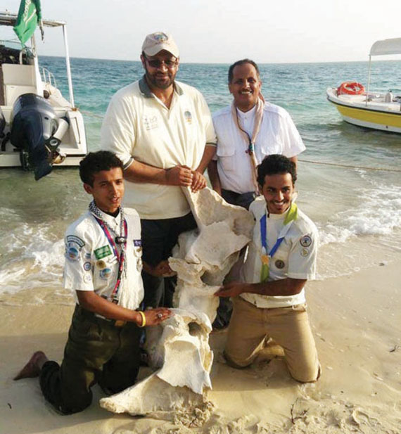 حوض الحيتان في جزيرة جبل الليث الصحيفة الاقتصادية