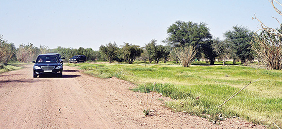 خادم الحرمين يتجول  في روضة خريم