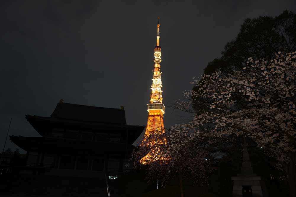 الرياض بين الأمطار وساعة الأرض