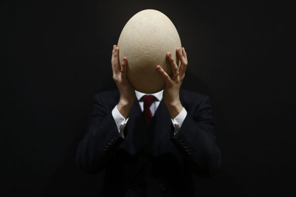 قصة مصورة : عرض بيضة طائر الفيل المنقرض بمزاد في لندن الشهر المقبل