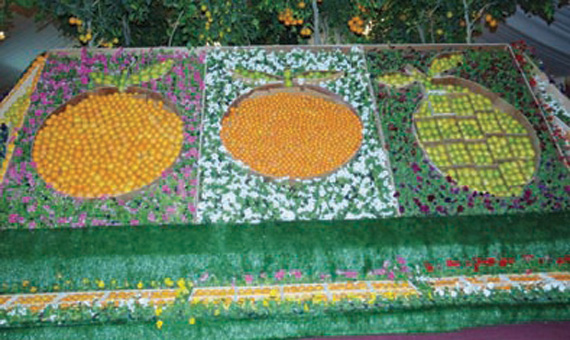 محفزات لجذب استثمارات في قطاعي التعدين والسياحة .. سنستقطب شركات عالمية