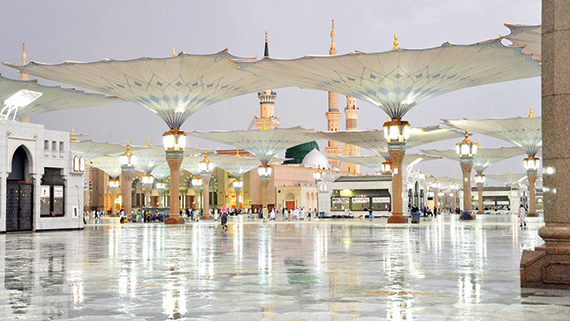 «نجم سهيل» يظهر جنوب الجزيرة العربية أغسطس الجاري