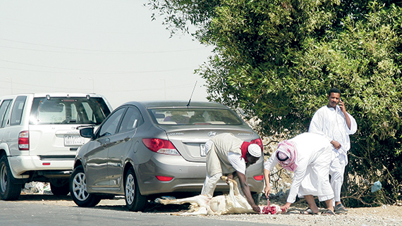 الجزارة.. آخر المهن قبل نهاية مهلة التصحيح