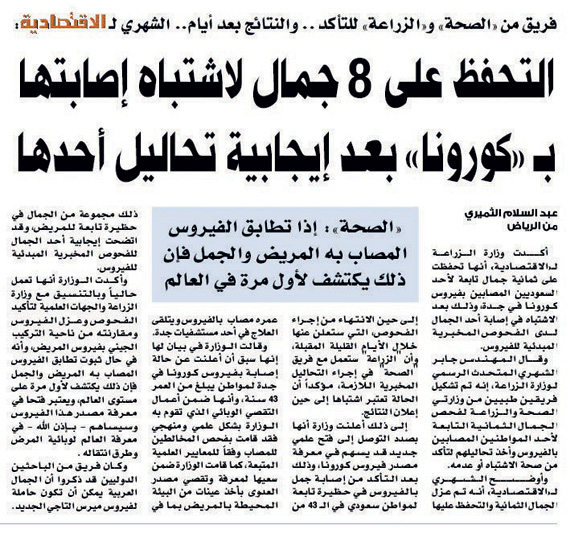 سلمنا «الصحة» نتائج مسوحات تكشف علاقة الجمال بـ «كورونا»