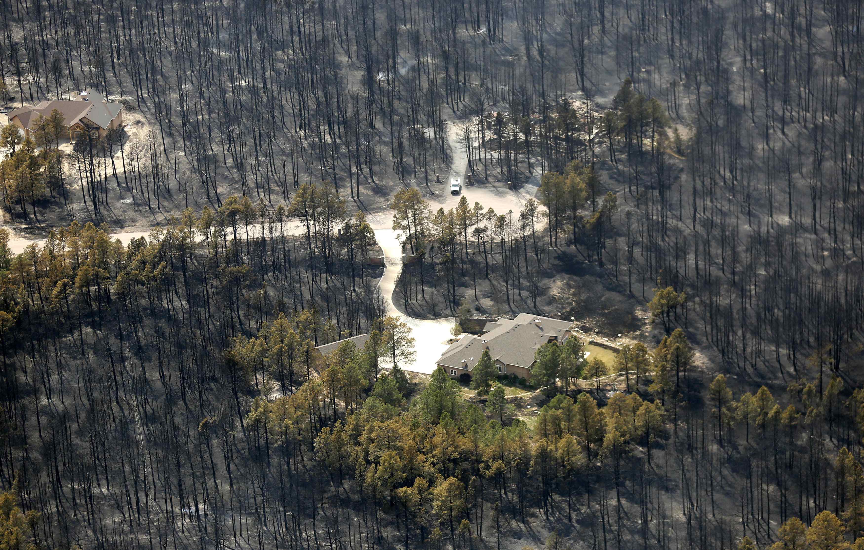 أبرز أحداث 2013 في صور