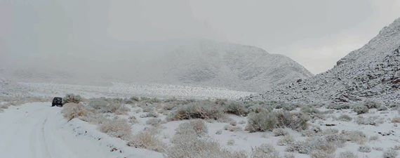 «الأرصاد»: موجة البرد الشديدة مستمرة على الشمال السعودي