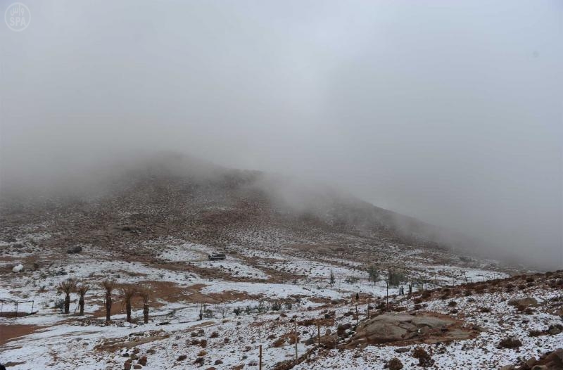 قصة مصورة: تساقط الثلوج على تبوك