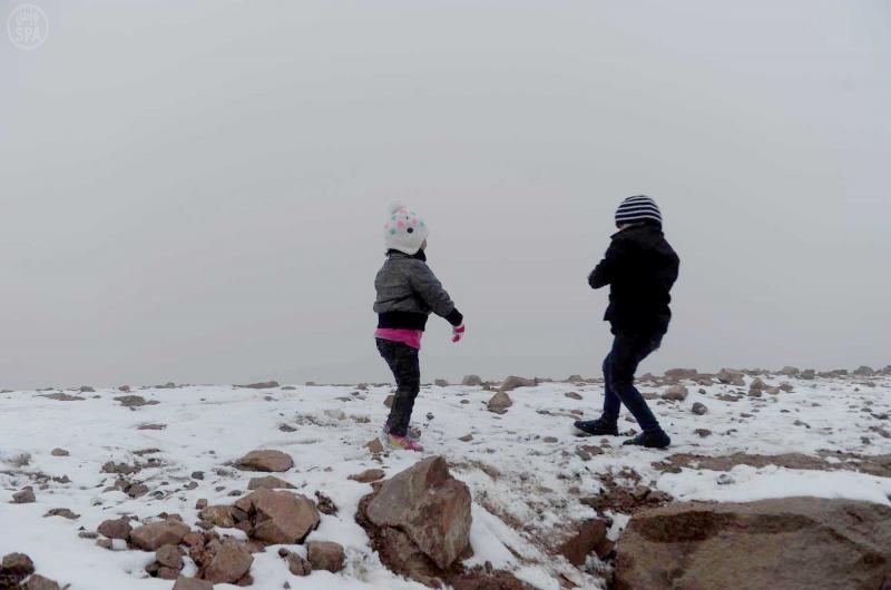 قصة مصورة: تساقط الثلوج على تبوك